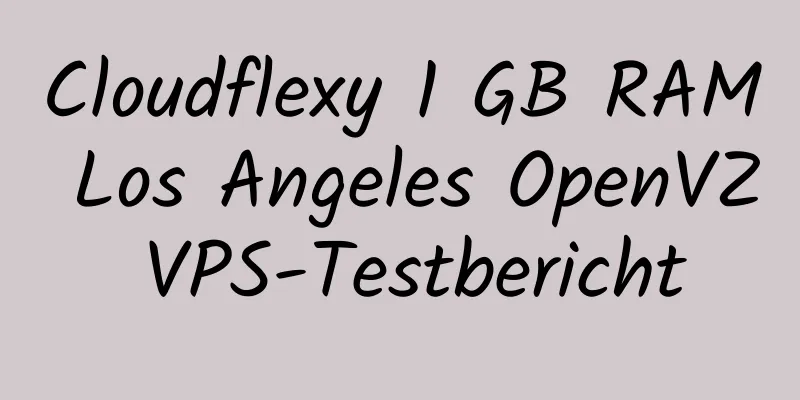 Cloudflexy 1 GB RAM Los Angeles OpenVZ VPS-Testbericht