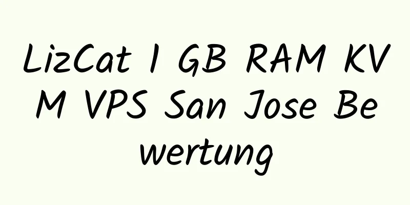 LizCat 1 GB RAM KVM VPS San Jose Bewertung