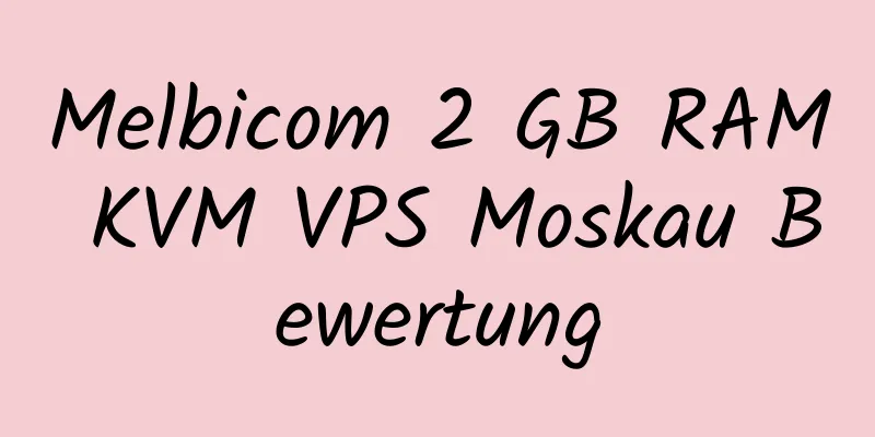 Melbicom 2 GB RAM KVM VPS Moskau Bewertung