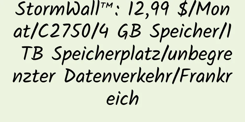 StormWall™: 12,99 $/Monat/C2750/4 GB Speicher/1 TB Speicherplatz/unbegrenzter Datenverkehr/Frankreich