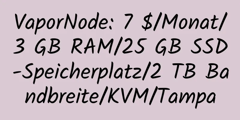 VaporNode: 7 $/Monat/3 GB RAM/25 GB SSD-Speicherplatz/2 TB Bandbreite/KVM/Tampa