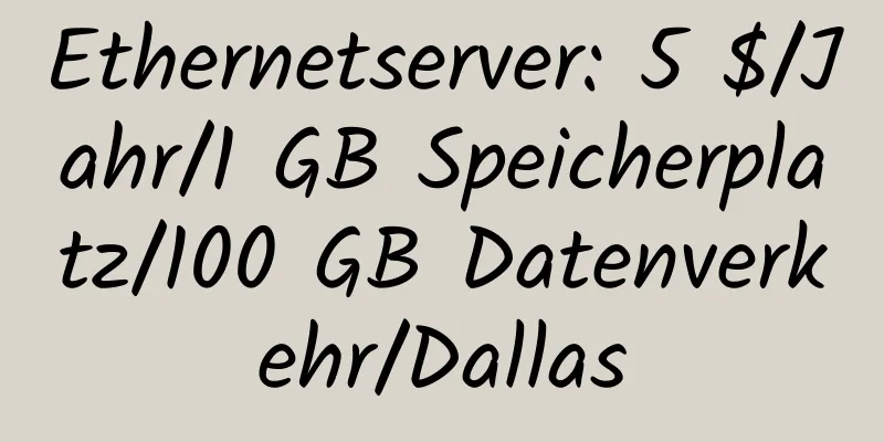 Ethernetserver: 5 $/Jahr/1 GB Speicherplatz/100 GB Datenverkehr/Dallas