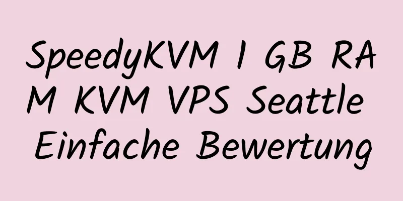 SpeedyKVM 1 GB RAM KVM VPS Seattle Einfache Bewertung