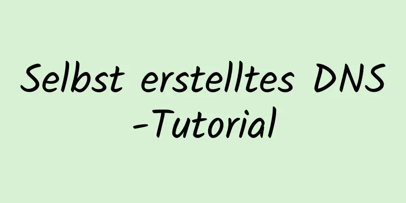 Selbst erstelltes DNS-Tutorial