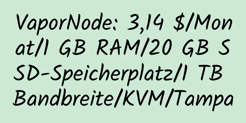 VaporNode: 3,14 $/Monat/1 GB RAM/20 GB SSD-Speicherplatz/1 TB Bandbreite/KVM/Tampa