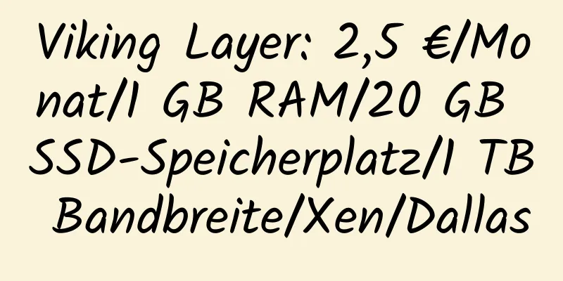 Viking Layer: 2,5 €/Monat/1 GB RAM/20 GB SSD-Speicherplatz/1 TB Bandbreite/Xen/Dallas