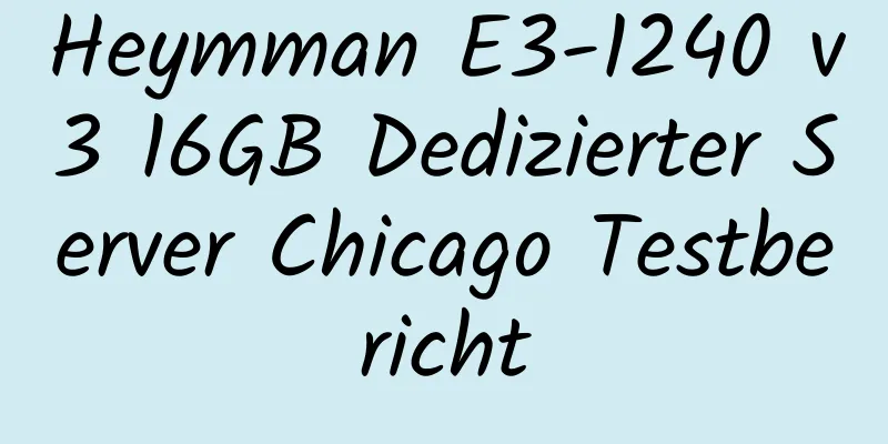 Heymman E3-1240 v3 16GB Dedizierter Server Chicago Testbericht