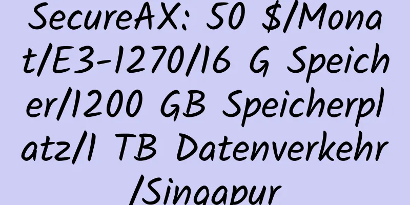 SecureAX: 50 $/Monat/E3-1270/16 G Speicher/1200 GB Speicherplatz/1 TB Datenverkehr/Singapur