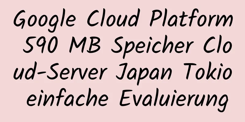 Google Cloud Platform 590 MB Speicher Cloud-Server Japan Tokio einfache Evaluierung