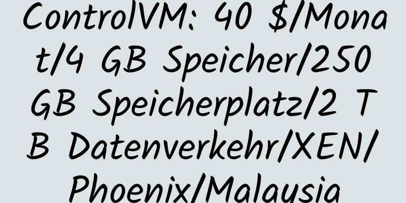 ControlVM: 40 $/Monat/4 GB Speicher/250 GB Speicherplatz/2 TB Datenverkehr/XEN/Phoenix/Malaysia