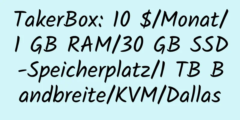 TakerBox: 10 $/Monat/1 GB RAM/30 GB SSD-Speicherplatz/1 TB Bandbreite/KVM/Dallas