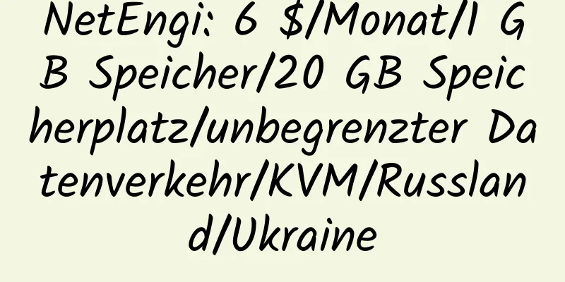 NetEngi: 6 $/Monat/1 GB Speicher/20 GB Speicherplatz/unbegrenzter Datenverkehr/KVM/Russland/Ukraine