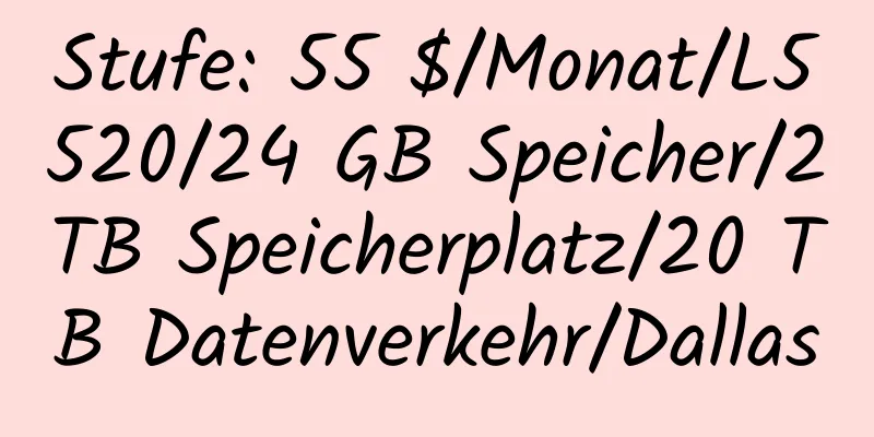 Stufe: 55 $/Monat/L5520/24 GB Speicher/2 TB Speicherplatz/20 TB Datenverkehr/Dallas