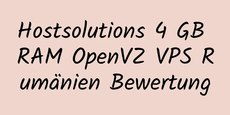 Hostsolutions 4 GB RAM OpenVZ VPS Rumänien Bewertung