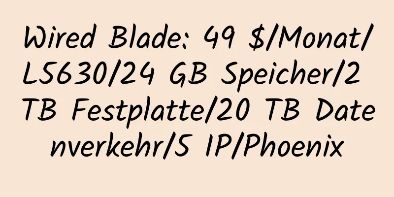 Wired Blade: 49 $/Monat/L5630/24 GB Speicher/2 TB Festplatte/20 TB Datenverkehr/5 IP/Phoenix