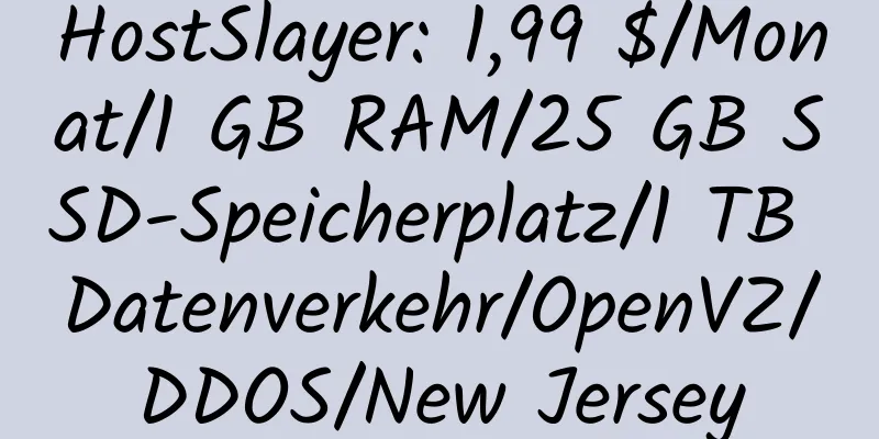 HostSlayer: 1,99 $/Monat/1 GB RAM/25 GB SSD-Speicherplatz/1 TB Datenverkehr/OpenVZ/DDOS/New Jersey