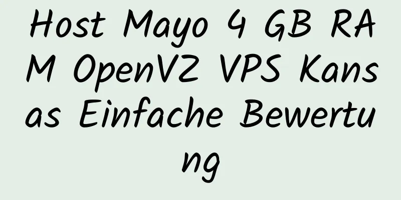 Host Mayo 4 GB RAM OpenVZ VPS Kansas Einfache Bewertung