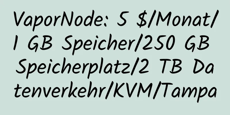 VaporNode: 5 $/Monat/1 GB Speicher/250 GB Speicherplatz/2 TB Datenverkehr/KVM/Tampa