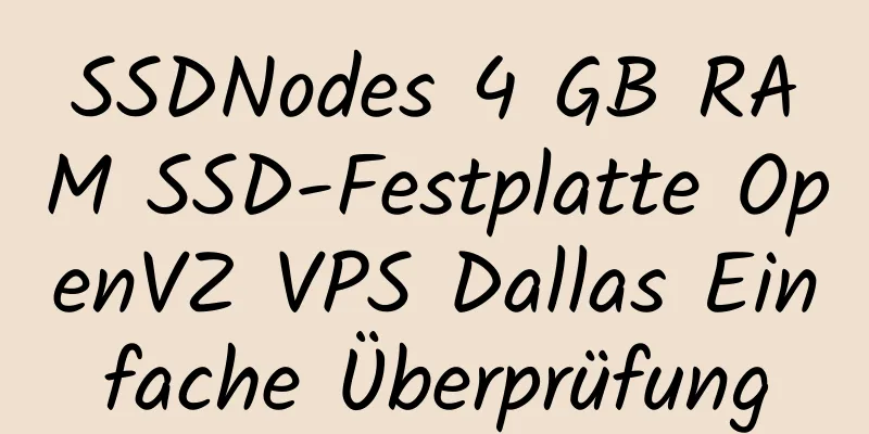 SSDNodes 4 GB RAM SSD-Festplatte OpenVZ VPS Dallas Einfache Überprüfung