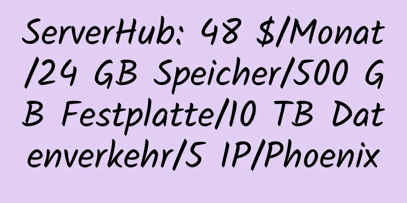 ServerHub: 48 $/Monat/24 GB Speicher/500 GB Festplatte/10 TB Datenverkehr/5 IP/Phoenix