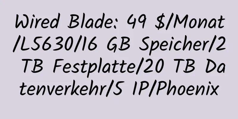 Wired Blade: 49 $/Monat/L5630/16 GB Speicher/2 TB Festplatte/20 TB Datenverkehr/5 IP/Phoenix