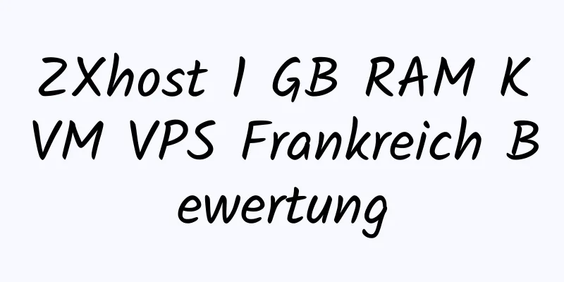 ZXhost 1 GB RAM KVM VPS Frankreich Bewertung