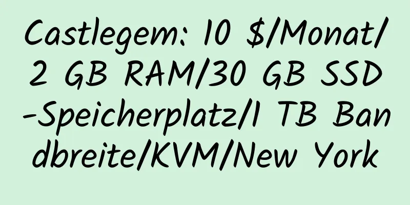 Castlegem: 10 $/Monat/2 GB RAM/30 GB SSD-Speicherplatz/1 TB Bandbreite/KVM/New York