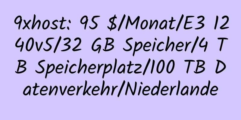 9xhost: 95 $/Monat/E3 1240v5/32 GB Speicher/4 TB Speicherplatz/100 TB Datenverkehr/Niederlande