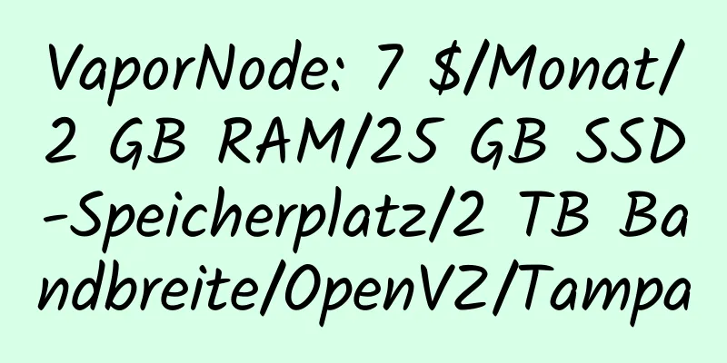 VaporNode: 7 $/Monat/2 GB RAM/25 GB SSD-Speicherplatz/2 TB Bandbreite/OpenVZ/Tampa