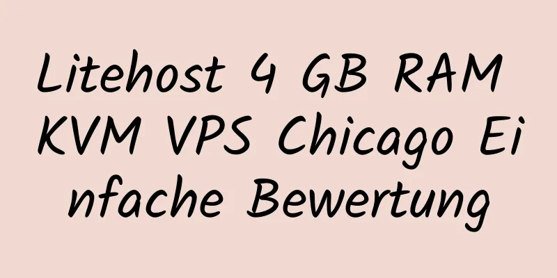 Litehost 4 GB RAM KVM VPS Chicago Einfache Bewertung