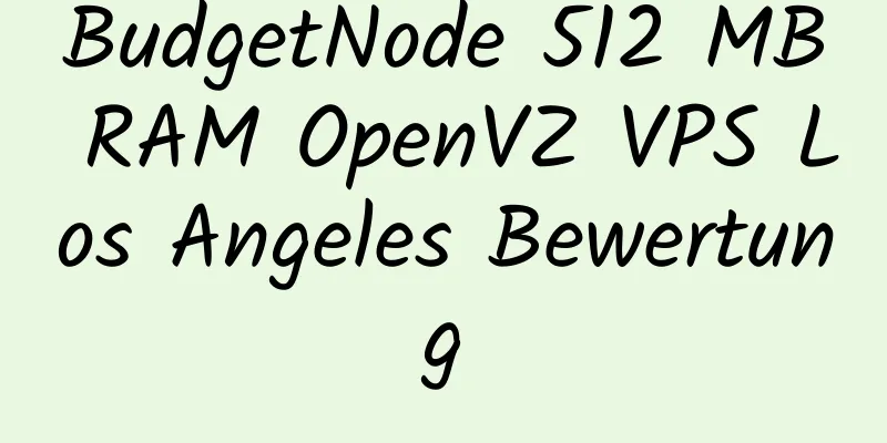 BudgetNode 512 MB RAM OpenVZ VPS Los Angeles Bewertung