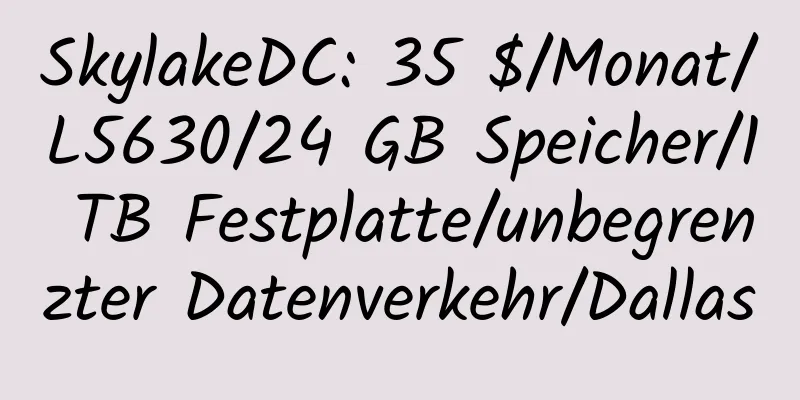 SkylakeDC: 35 $/Monat/L5630/24 GB Speicher/1 TB Festplatte/unbegrenzter Datenverkehr/Dallas