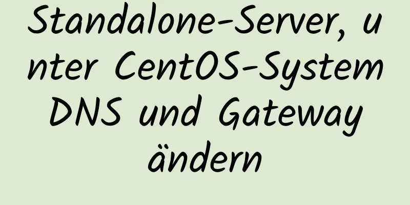 Standalone-Server, unter CentOS-System DNS und Gateway ändern