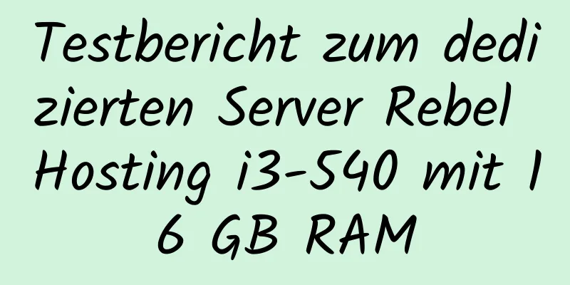 Testbericht zum dedizierten Server Rebel Hosting i3-540 mit 16 GB RAM