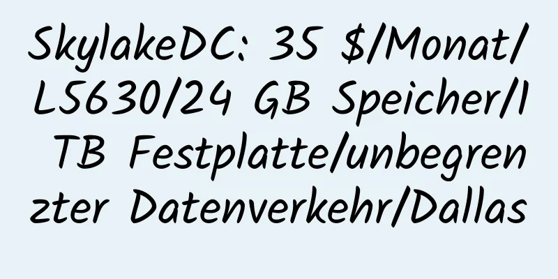 SkylakeDC: 35 $/Monat/L5630/24 GB Speicher/1 TB Festplatte/unbegrenzter Datenverkehr/Dallas