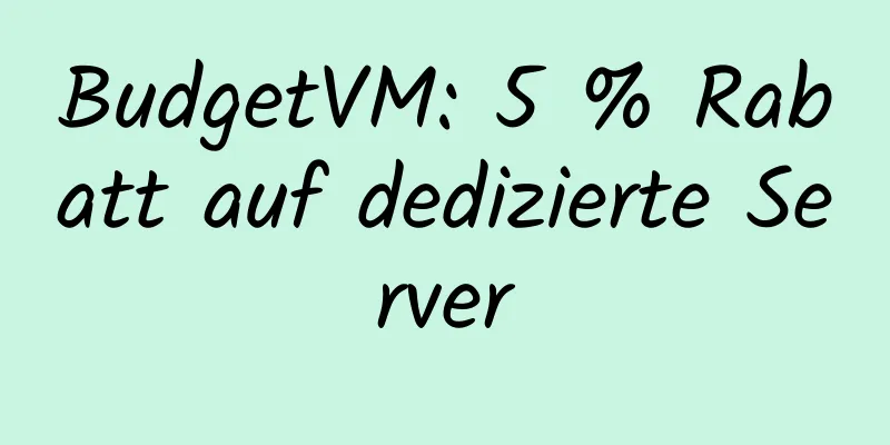 BudgetVM: 5 % Rabatt auf dedizierte Server