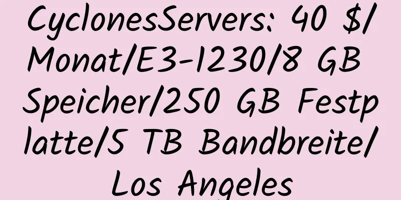 CyclonesServers: 40 $/Monat/E3-1230/8 GB Speicher/250 GB Festplatte/5 TB Bandbreite/Los Angeles