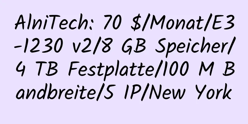 AlniTech: 70 $/Monat/E3-1230 v2/8 GB Speicher/4 TB Festplatte/100 M Bandbreite/5 IP/New York