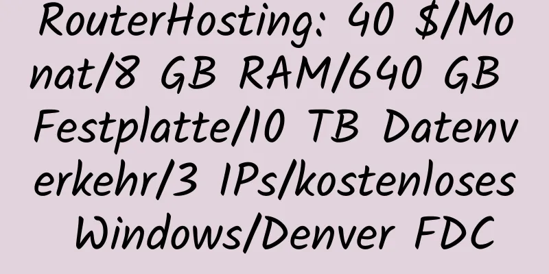 RouterHosting: 40 $/Monat/8 GB RAM/640 GB Festplatte/10 TB Datenverkehr/3 IPs/kostenloses Windows/Denver FDC