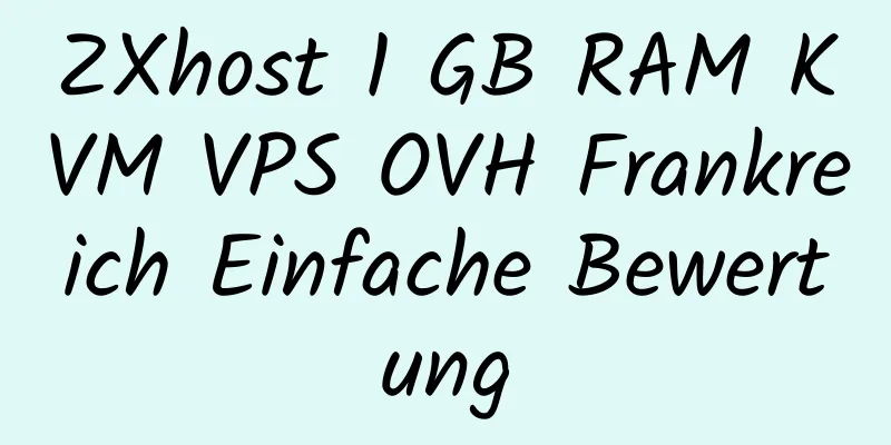 ZXhost 1 GB RAM KVM VPS OVH Frankreich Einfache Bewertung