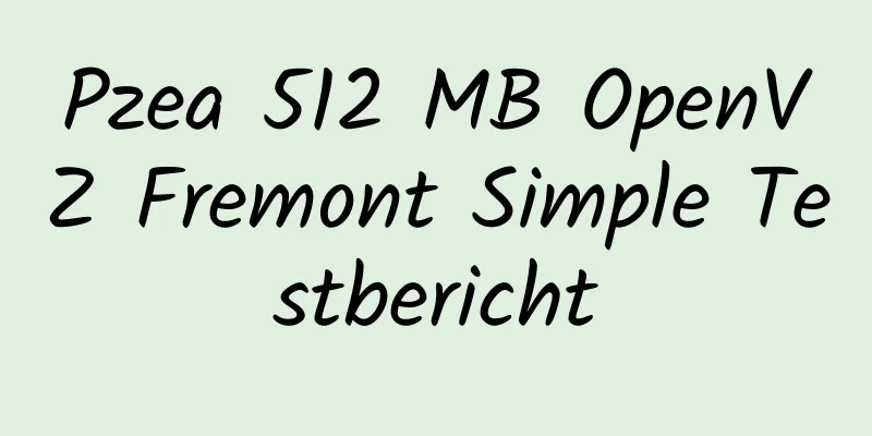 Pzea 512 MB OpenVZ Fremont Simple Testbericht