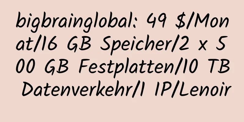 bigbrainglobal: 49 $/Monat/16 GB Speicher/2 x 500 GB Festplatten/10 TB Datenverkehr/1 IP/Lenoir