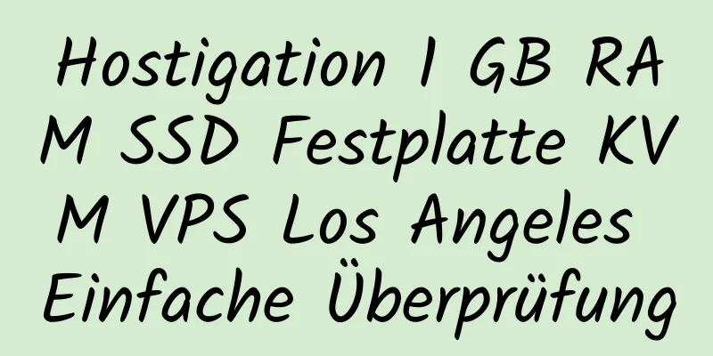 Hostigation 1 GB RAM SSD Festplatte KVM VPS Los Angeles Einfache Überprüfung