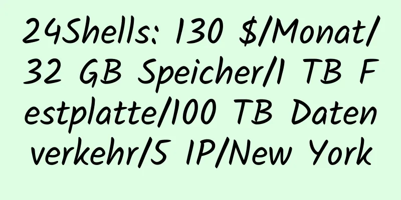 24Shells: 130 $/Monat/32 GB Speicher/1 TB Festplatte/100 TB Datenverkehr/5 IP/New York