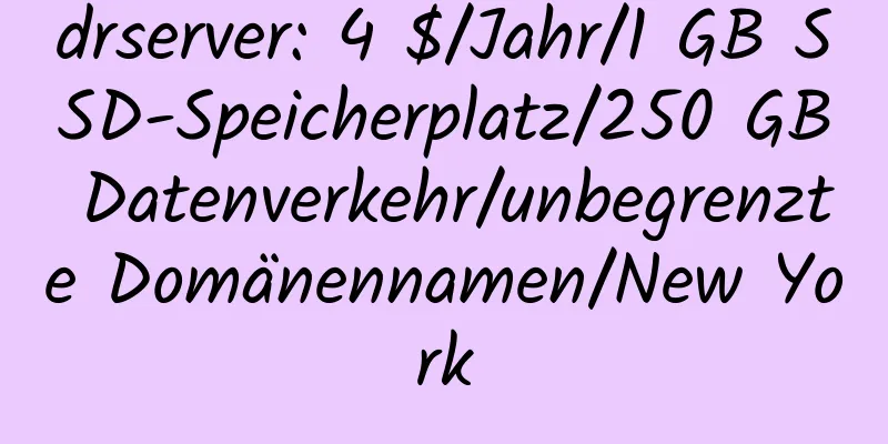 drserver: 4 $/Jahr/1 GB SSD-Speicherplatz/250 GB Datenverkehr/unbegrenzte Domänennamen/New York