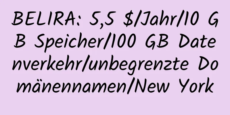 BELIRA: 5,5 $/Jahr/10 GB Speicher/100 GB Datenverkehr/unbegrenzte Domänennamen/New York