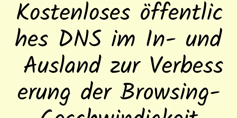 Kostenloses öffentliches DNS im In- und Ausland zur Verbesserung der Browsing-Geschwindigkeit