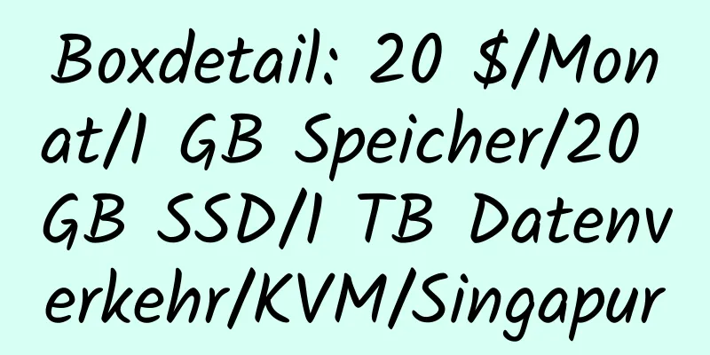 Boxdetail: 20 $/Monat/1 GB Speicher/20 GB SSD/1 TB Datenverkehr/KVM/Singapur