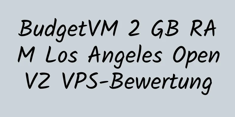 BudgetVM 2 GB RAM Los Angeles OpenVZ VPS-Bewertung