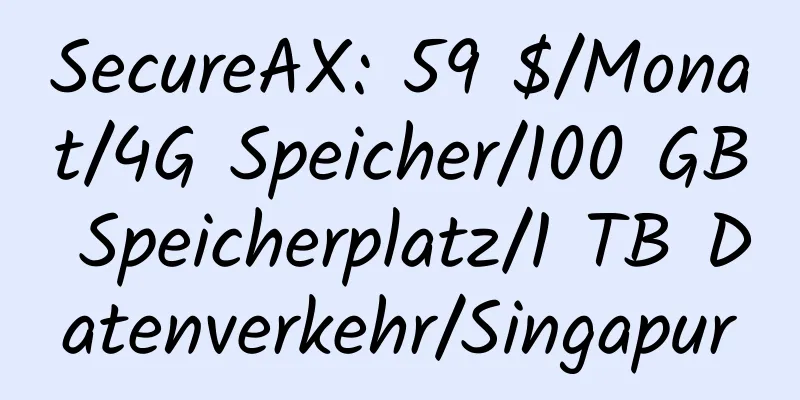 SecureAX: 59 $/Monat/4G Speicher/100 GB Speicherplatz/1 TB Datenverkehr/Singapur